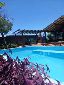 a swimming pool with a bunch of fish in it at Espaço Ravenala próximo aeroporto in Chapecó