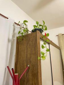 Φωτογραφία από το άλμπουμ του Studio no centro do Rio de Janeiro, ao lado do sambódromo στο Ρίο ντε Τζανέιρο