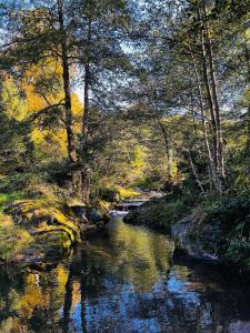 Naturlandskabet i nærheden af feriehuset