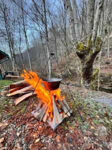 Naturlandskabet i nærheden af feriehuset