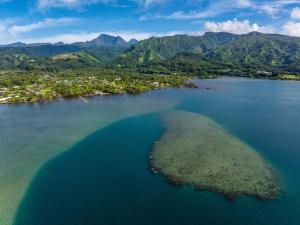 an island in the middle of a body of water at Toahere Beach House - Beachfront - Pool - Pontoon in Paui