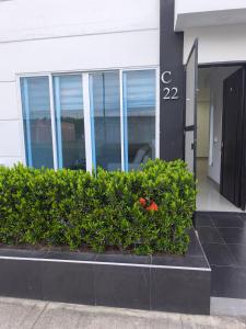 a bush in front of a building with windows at Casa Vacacional Flandes San Francisco in Flandes