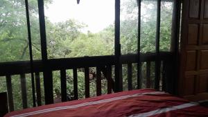 a bedroom with a window with a view of trees at Rhulani Treetop Cottage in Marloth Park
