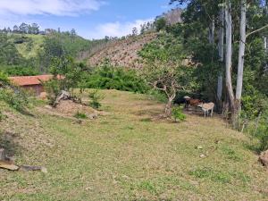 Paisagem natural perto deste camping