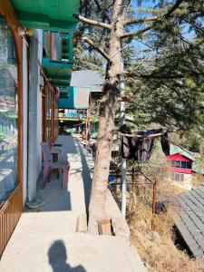 Foto sihtkohas Jibhi asuva majutusasutuse Tree House galeriist