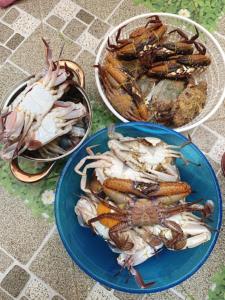 Jídlo v hotelu nebo okolí