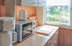 a kitchen with a microwave oven on a counter at Ferienhaus Kummerow in Kummerow