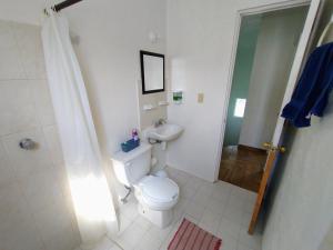 Un baño con inodoro, lavabo y ducha. en Casa Pinos, 20 minutes from downtown and Monte Alban, en Santa María Azompa