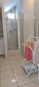 Vannituba majutusasutuses Logement spacieux deux pièces à Baie Mahault
