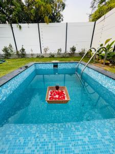 a tray of strawberries in a swimming pool at Aura Farms - Private Pool Cottages in Rāmanagaram