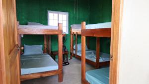 a room with four bunk beds in a green wall at Beachfront Family EcoParadise to Coiba IslQueen in Islote de Lerín +138 photos