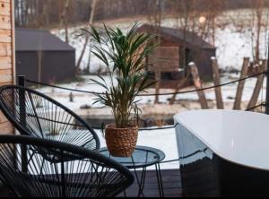 einen Tisch und Stühle sowie eine Topfpflanze auf einer Veranda in der Unterkunft Halicanum Glamping Peaceful Retreat Resort in Sveti Martin na Muri + 20 Fotos