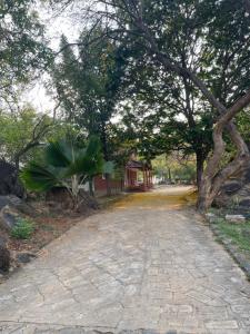 a dirt road with trees and a building on it at Sri Anantha Niketan Ashram in Tiruvannāmalai