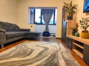 Billede fra billedgalleriet på Mountain View Apartment i Petroşani