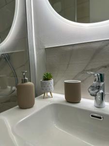 a bathroom sink with two cups and a plant on it at L'écrin du Lac St-Point in Malbuisson +36 photos
