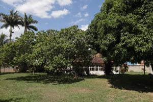 Κήπος έξω από το Casa estilo colonial