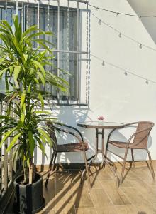 een patio met een tafel en twee stoelen en een plant bij Departamento Roma 1 CDMX in Mexico-Stad