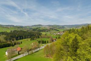 a view of a green valley with trees and houses at Ferienwohnung Kuss in Schönberg