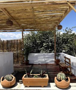 Balkón nebo terasa v ubytování Casa Colibri Oaxaca con Jacuzzi en Terraza + 15 fotografií