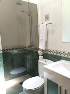 Salle de bains dans l'établissement Hostal Acemar