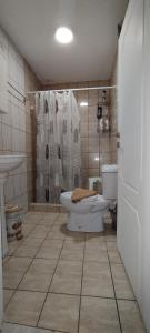a bathroom with a toilet and a shower at Trikala Apartments 3 in Tríkala +30 photos