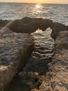 Φυσικό τοπίο κοντά σε αυτή η παραθεριστική κατοικία
