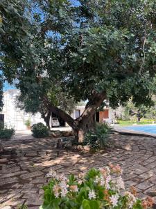 Κήπος έξω από το La Casetta con Piscina condivisa in campagna vicino al mare - Canestanco 18