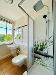 a bathroom with a shower and a toilet and a sink at Balkon-Studio im Hotel Reindahls in Wilkendorf +5 photos