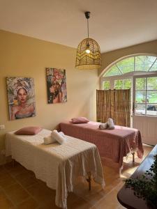 une chambre avec deux lits et une fenêtre dans l'établissement La villa des figuiers, à Saint-Bonnet-du-Gard 63 autres photos