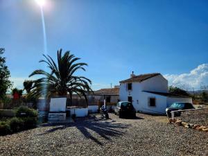 una casa con una palma accanto a un vialetto di ghiaia di Casita-Max 2Guests-Pool-Patio-Bbq-Parking a Huércal-Overa