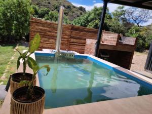 una piscina con una pianta accanto di Believe Cottage a Oudtshoorn