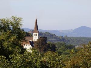 a church with a steeple on a hill with trees at Ferienwohnung Susanne in Bad Krozingen