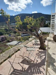 a group of chairs and a tree on a patio at Dandelion Paros Apartments I-II in Kóstos