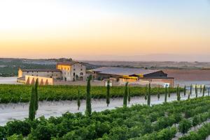 a view of a winery and a vineyard at sunset at Casa pablo y francisca in Alfarrás
