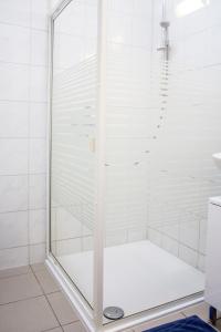 a shower with a glass door in a bathroom at Ferienwohnung Ferienhäuser am Brocken, 60 qm 2 Schlafzimmer in Ilsenburg