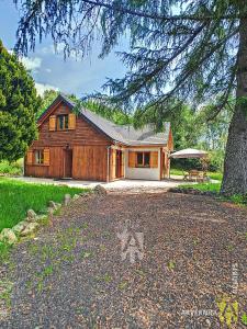 a large wooden house with a tree in front of it at Chalet Les Mélèzes in Chambon-sur-Lac