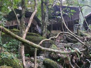 Příroda nedaleko rezortu