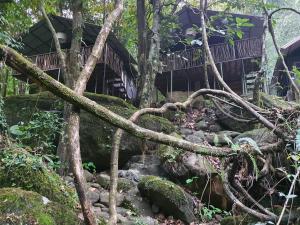 Příroda nedaleko rezortu + 19 fotografií