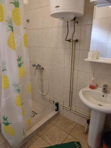 Ένα μπάνιο στο Apartmani Stojičić