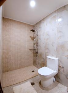 un baño con inodoro y ducha en Ariadne's Stone Private Luxury House, en Bendevís 10 fotos más