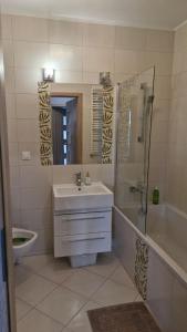 a bathroom with a sink and a shower and a toilet at Osiedle Morskie in Pogórze +15 photos