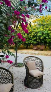 Afbeelding uit fotogalerij van Neem Luxury Villa in Al Jubayl