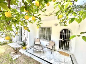 a patio with two chairs and an orange tree at Elegant town house in la marsa plage in La Marsa