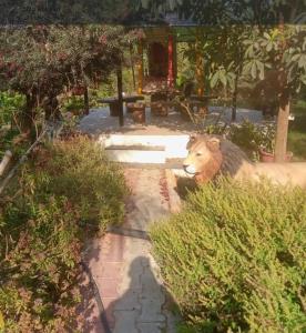 Φωτογραφία από το άλμπουμ του Aranya Bliss σε Gandhinagar