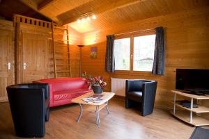 TV a/nebo společenská místnost v ubytování Camping het Wieskamp