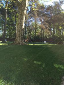 A garden outside Bed&Garden