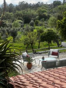 Κήπος έξω από το Casa Anjema boutique stay with infinity pool