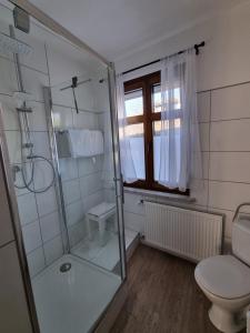 a bathroom with a shower and a toilet at Georgs Ferienhaus in Zeltingen-Rachtig +24 photos