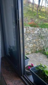 תמונה מהגלריה של Tiny house בשקודר