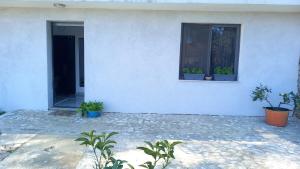 תמונה מהגלריה של Tiny house בשקודר